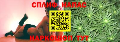 гидра Беслан