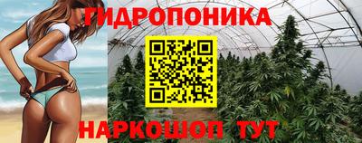 jwh Берёзовский