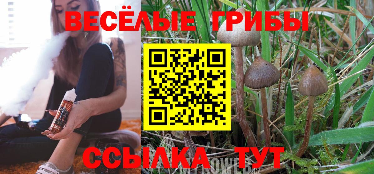 Зеленодольск  Галлюциногенные грибы MAGIC MUSHROOMS  цена наркотик  Вход с VPN 
