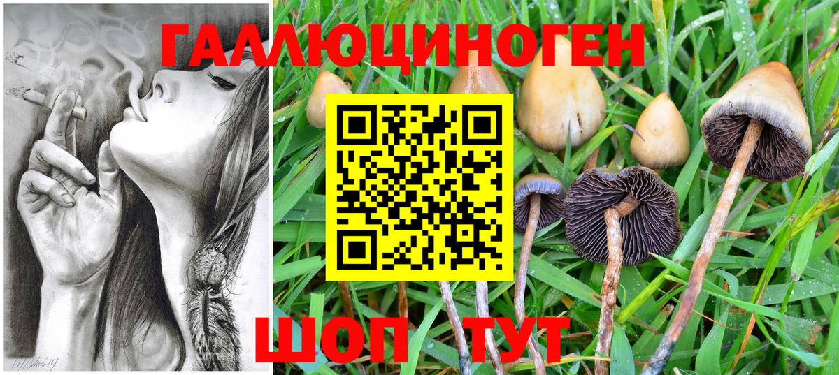 Галлюциногенные грибы MAGIC MUSHROOMS Зеленодольск